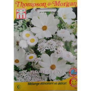 Semillas de Flores de Ensueño Blanco