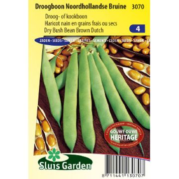Judía enana Noordhollandse Bruine