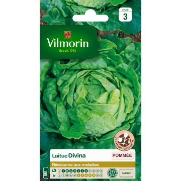Lechuga Divina - Vilmorin