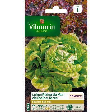 Lechuga Reine de Mai - Vilmorin