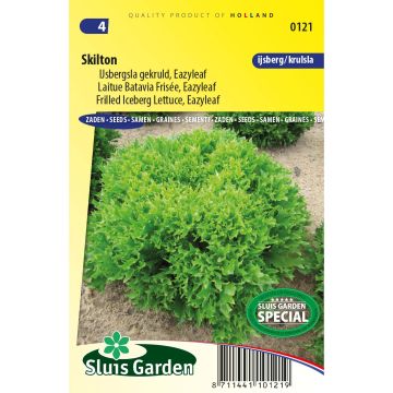 Lechuga batavia Eazyleaf Skilton