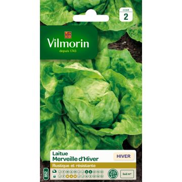 Lechugas Merveille d'Hiver - Vilmorin