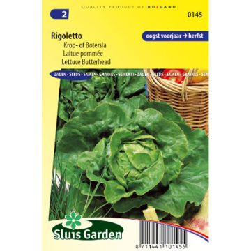 Lechuga Rigoletto