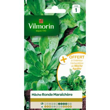 Canónigo Ronde Maraîchère - Vilmorin
