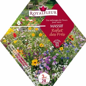 Mezcla para macizo reflejo de pradera - Bolsa 3 m²