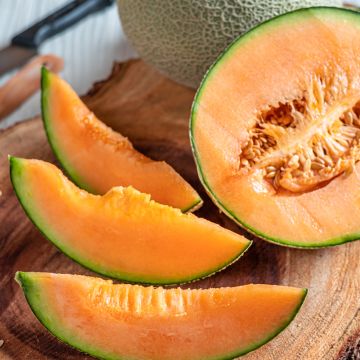 Melón Sucrin de Tours