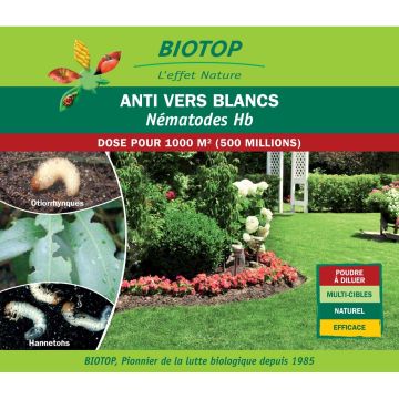 Nematodos Hb Biotop contra el gusano blanco