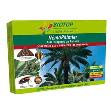 Nematodos NémaPalmier Biotop contra las plagas del palmera