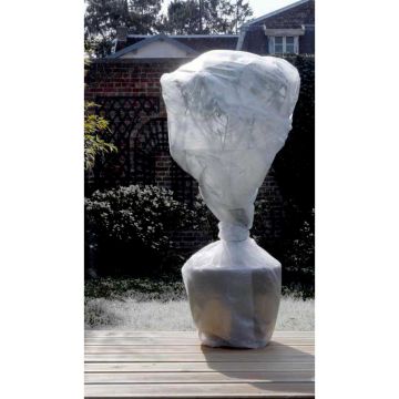 Film de burbujas 1 x 10 metros Bubble Film