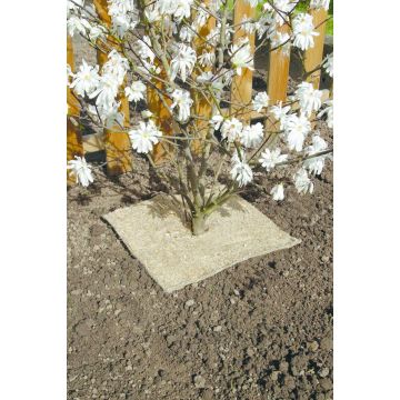 Losa de mantillo natural biodegradable Chanvrelin 750 0.40 x 0.40 metros