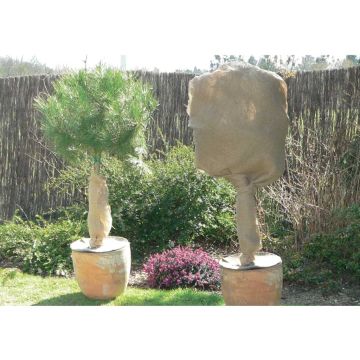 Protección en arpillera marrón 200g/m² 1 m x 10 m NATUREROLL