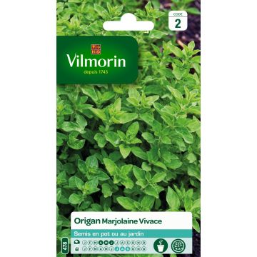 Orégano - Vilmorin