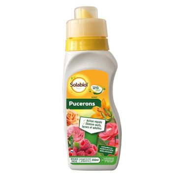Pulgones Solabiol en colza en bidón dosificador