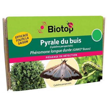Feromona de la polilla del boj Cydalima perspectalis Biotop - 2 cápsulas