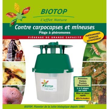 Trampa de embudo Biotop individual (diferentes lepidópteros: Polilla de la manzana, Minador del castaño)