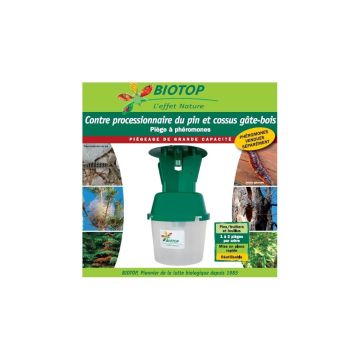 Trampa de embudo con alas Biotop individual (especial para Procesionaria del pino-Cossus Cossus)