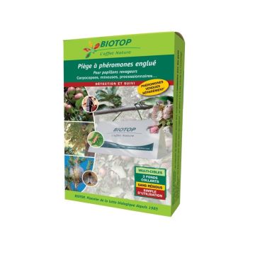 Trampa para mariposas plaga Delta sola (1 techo + 3 fondos adhesivos) Biotop