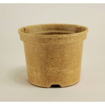 Maceta redonda Biocompostable Napac Ø10,5 cm - vendida por 5