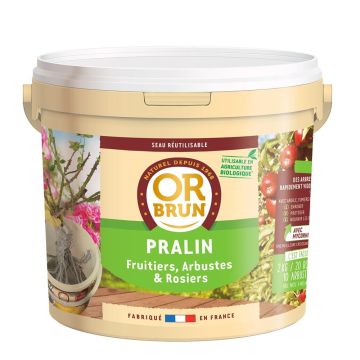 Pralin Or Marrón en cubo de 2 kg