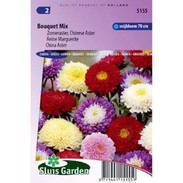 Reina Margarita Bouquet - Callistephus