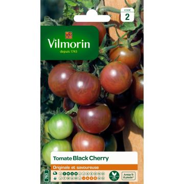 Tomate cherri Black Cherry - Vilmorin