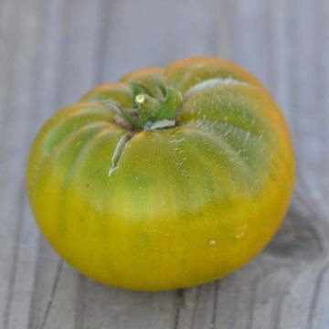 Tomate Green Moldovan