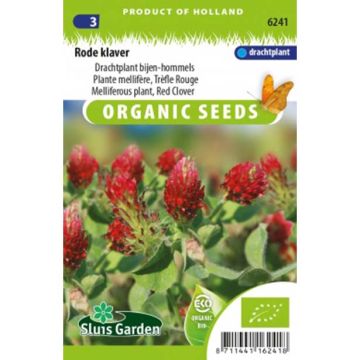 Trébol encarnado Bio - Trifolium incarnatum