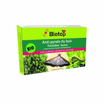 Tricholine® Buxus Biotop contra la polilla del boj caja de 4 difusores