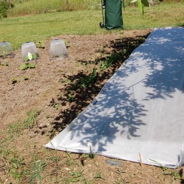 Velo de crecimiento 17g