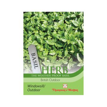 Albahaca British Outdoor