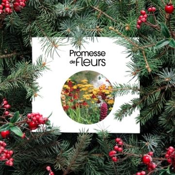 Tarjeta regalo Tarjeta regalo