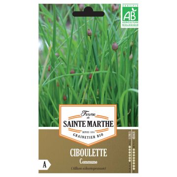 Cebollino Bio - Ferme de Sainte Marthe