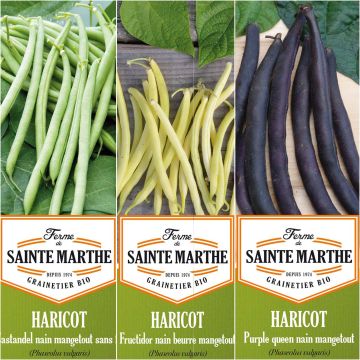 Colección de 3 judías coloridas y productivas BIO - Granja de Sainte-Marthe