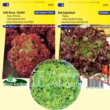 Colección de 3 Mezclum BIO