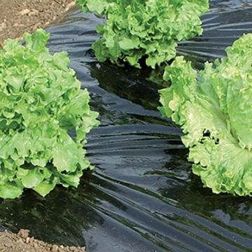 Película de acolchado negro y plata 30 micras 1.40 x 10 m