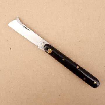 Injerto de escudete negro para vid