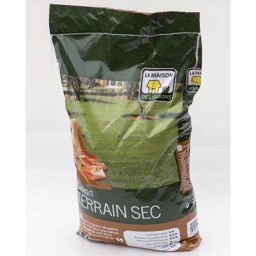 Hierba Tierra seca