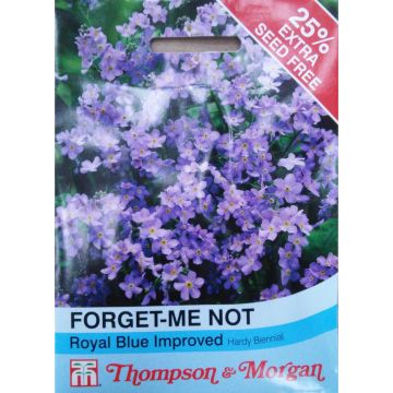 Myosotis sylvatica Royal Blue Forget-me-not (semillas) - Nomeolvides