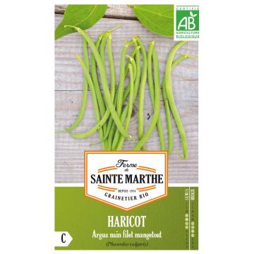Judía enana Argus Bio - Ferme de Sainte Marthe