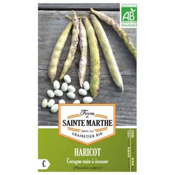 Judía enana Cocagne Bio - Ferme de Sainte Marthe