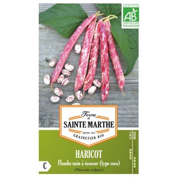 Judía enana Flambo Bio - Ferme de Sainte Marthe