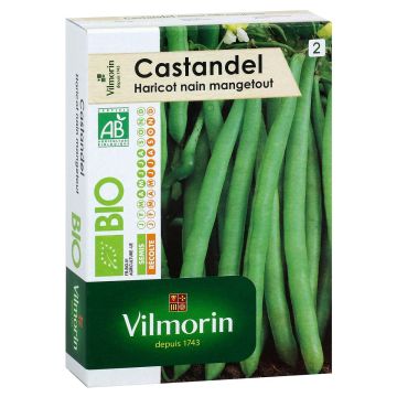 Judía enana Castandel Bio - Vilmorin
