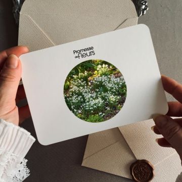 Tarjeta regalo