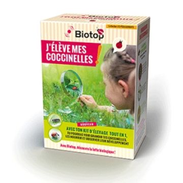 Kit educativo de cría de mariquitas Biotop