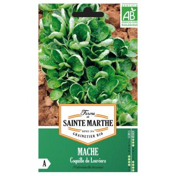 Canónigo Coquille de Louviers Bio - Ferme de Sainte Marthe