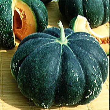 Melón Noir des Carmes