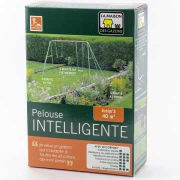 Césped inteligente continental