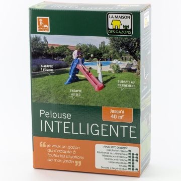 Césped inteligente Sur/a orillas del mar