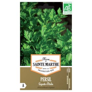 Perejil Géant d'Italie Bio - Ferme de Sainte Marthe