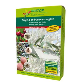 Trampa para moscas de la fruta Dacotrap Biotop